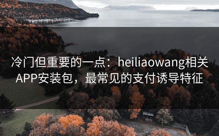 冷门但重要的一点：heiliaowang相关APP安装包，最常见的支付诱导特征